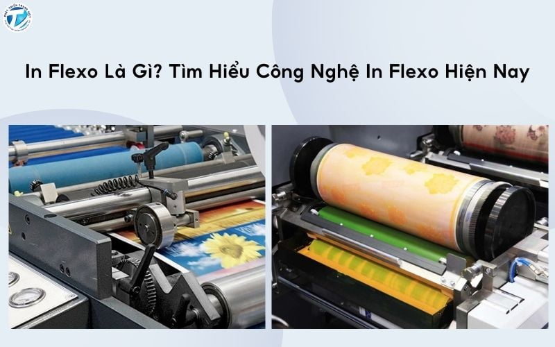 In Flexo Là Gì? Tìm Hiểu Công Nghệ In Flexo Hiện Nay
